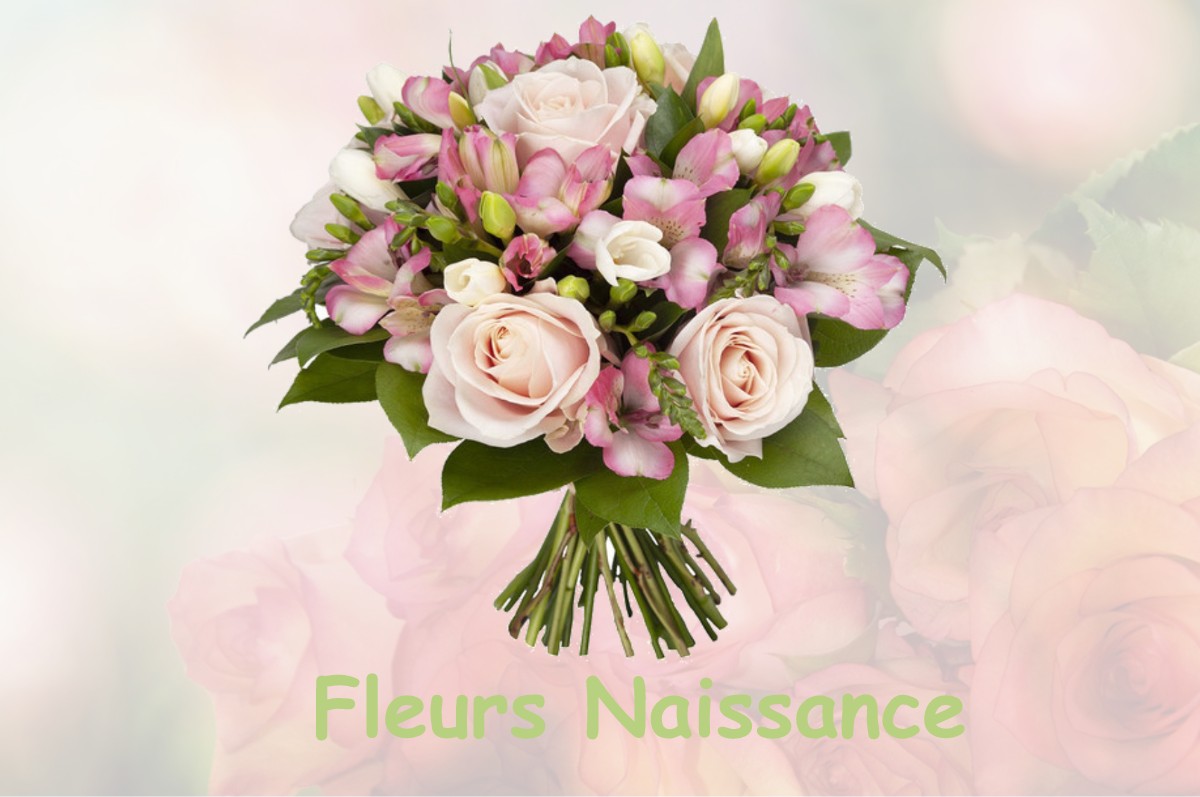 fleurs naissance SAINTE-MARIE-LAPANOUZE