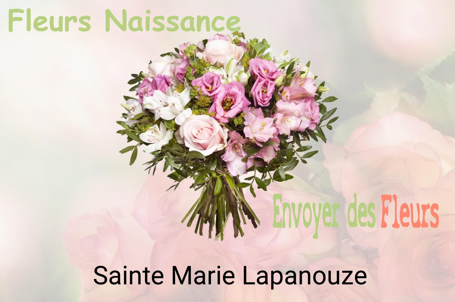 Bouquet de fleurs de naissance livré à Sainte-Marie-Lapanouze